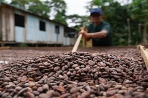 Chamada de R$ 150 milhões impulsiona inovação no semiárido