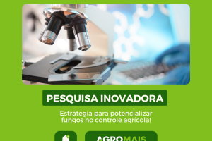 Pesquisa Inovadora Revela Estratégia para Potencializar Fungos no Controle Agrícola