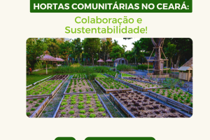Hortas Comunitárias no Ceará: Colaboração e Sustentabilidade em Foco