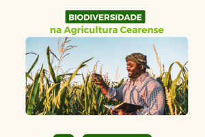 A Importância da Biodiversidade na Agricultura Cearense