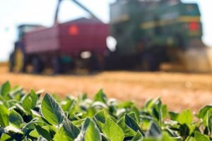 CNA apresenta Propostas para o Plano Agrícola e Pecuário 2024/2025