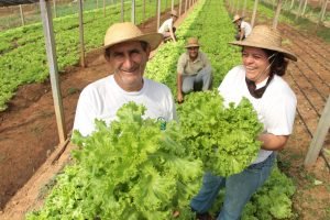 Plano Safra da Agricultura Familiar 2026/27 é anunciado às 17h com foco no crédito para mulheres rurais