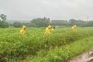 Inmet projeta julho com chuvas acima da média no Sul e temperaturas elevadas no Nordeste, padrão associado ao El Niño 2026/27