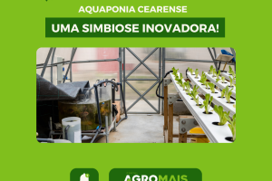 Aquaponia Cearense: Uma Simbiose Inovadora Entre Piscicultura e Horticultura
