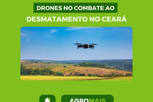 Tecnologia de Drones é Utilizada para Monitorar o Desmatamento no Ceará