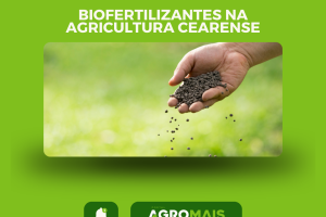 Uso de Biofertilizantes na Agricultura Cearense Promove a Sustentabilidade Ambiental