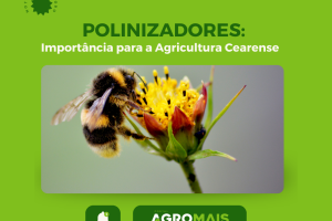Polinizadores: Importância para a Agricultura Cearense