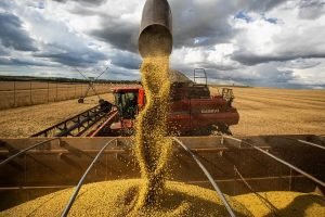 Valor da produção agrícola do Brasil cai pelo segundo ano consecutivo