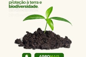Agricultura sustentável, proteção à terra e biodiversidade