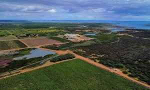 Senador Jayme Campos defende autodeclaração e justiça fiscal no campo