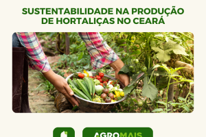 Sustentabilidade na Produção de Hortaliças no Sertão Cearense: Um Exemplo a Ser Seguido