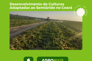Desenvolvimento de Culturas Adaptadas ao Semiárido no Ceará