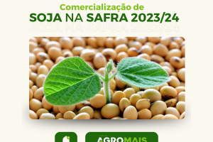 Tendências e Desafios: Comercialização de Soja  na Safra 2023/24