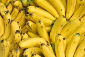 Produtores e pesquisadores da Embrapa participam do Simpósio de Bananicultura do Cariri durante a ExpoCariri 2025, fortalecendo a produção agrícola local.