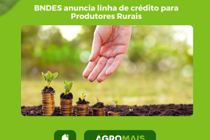 BNDES Anuncia Linha de Crédito para Socorrer Produtores Rurais em Momento de Crise