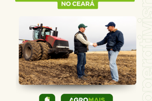 Cooperativismo Agropecuário no Ceará: Uma Força Impulsionadora da Economia Rural