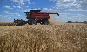 A experiência tropical do Brasil fortalece a pesquisa e o uso de bioinsumos no agronegócio sustentável.