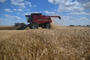Agricultor brasileiro observa resultados de bioinsumos aplicados na lavoura