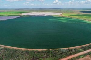 Como a energia no Ceará pode dobrar a produção agrícola das chapadas do Apodi, Ibiapaba e Araripe com estabilidade, pesquisa e tecnologia.