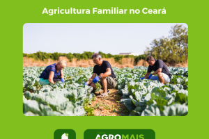 Agricultura Familiar no Ceará: Resgate da Tradição e Sustentabilidade