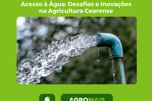 Acesso à Água: Desafios e Inovações na Agricultura Cearense