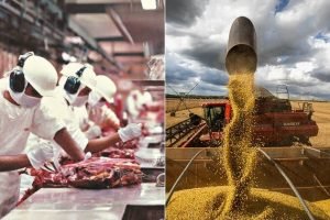 Agro exporta US$ 16 bi em maio de 2026 — soja, carnes e novos mercados batem recordes