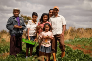 Agricultores familiares triplicam renda com torrefação e venda direta de café