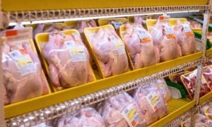 Exportações de carne de frango do Brasil para o México aumentaram 873% em agosto