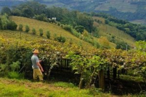 produtor rural no campo beneficiado pela renegociação dívidas rurais