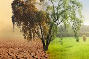Mudança climática é o principal risco do agro em 2026, aponta 79% das empresas