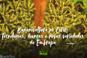 Pesquisadores e produtores discutem melhorias para a bananicultura no Cariri durante a Expo Cariri.