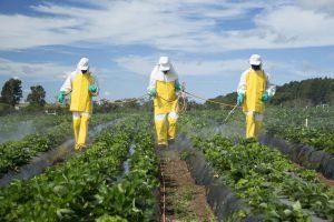 Queda nas Reprovações de Equipamentos de Proteção Individual Agrícolas no Brasil