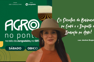 Rebanho bovino no Ceará, representando os desafios e inovações da pecuária leiteira e de corte.