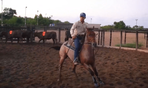 ExpoItaitinga 2024 traz esporte, cultura e agro para o Ceará