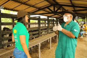 Veterinário no campo