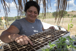 Sertão Vivo: A Iniciativa que Está Transformando a Agricultura Familiar no Semiárido Nordestino