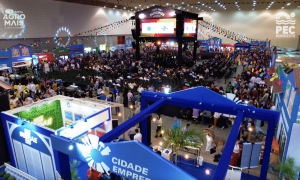 PEC Nordeste 2025 supera expectativas