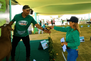 Mulheres liderando feiras e exposições no setor agropecuário.