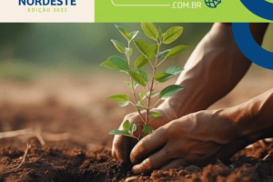 PEC Nordeste 2025: Especial Agroindustria