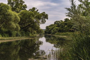 Produtor rural brasileiro é um dos principais guardiões do meio ambiente?