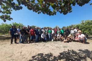 Sistema Faec/Senar Realiza Dia de Campo da Fruticultura em Cascavel