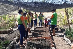 Senar promove Curso de “Viveirista” em Moraújo