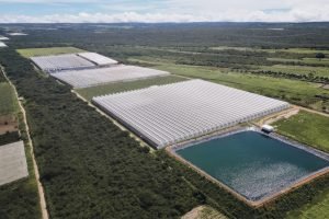 /patrocinadores/fazenda-santo-expedito