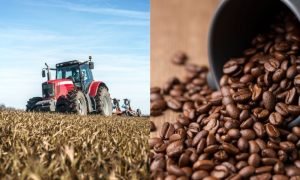 Encontro entre autoridades brasileiras e norte-americanas busca reduzir tarifas sobre máquinas e café.