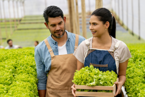 Número de trabalhadores no Agronegócio é recorde diz CEPEA!