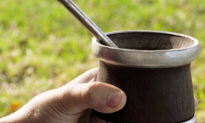 Produção de erva-mate certificada no Rio Grande do Sul, destacando sua origem e qualidade