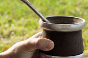 Erva-mate gaúcha é certificada como produto de origem reconhecida