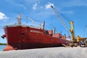 Acordo Mercosul-UE: Desafios para os Auditores Fiscais Agropecuários