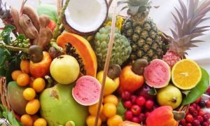 Nova Plataforma Consolida Dados sobre Pragas em Fruteiras Tropicais