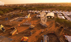 Veterinário e equipe organizando animais durante feira agropecuária.